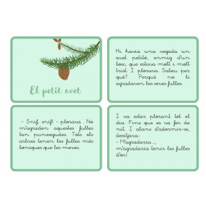 Comprensió lectora - El petit avet