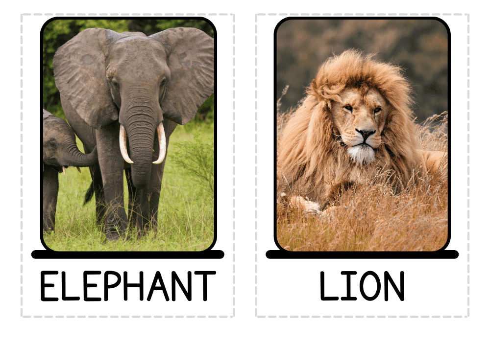 Pack de flashcards English vocabulary. 18 topics