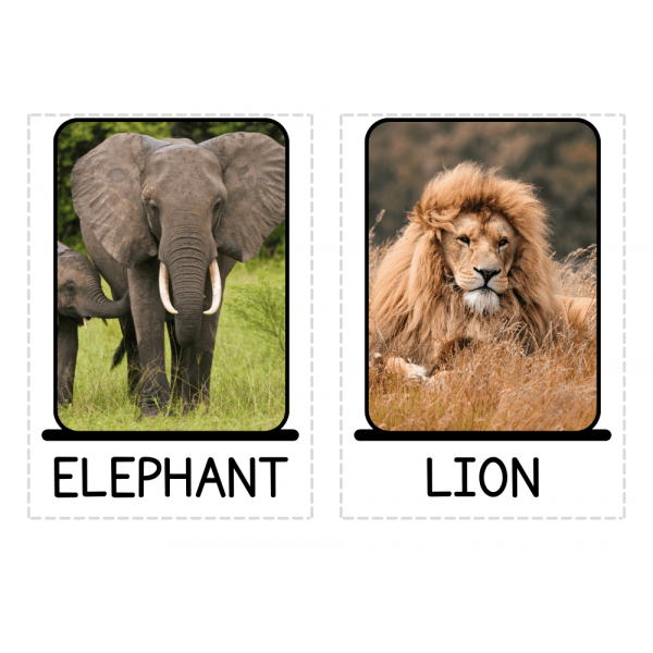 Pack de flashcards English vocabulary. 18 topics