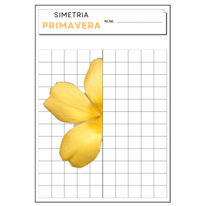 SIMETRIA PRIMAVERA