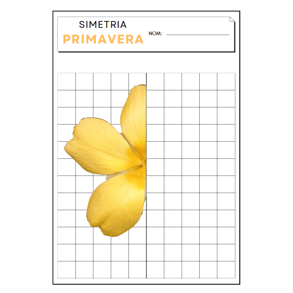 SIMETRIA PRIMAVERA