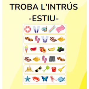 Troba l'intrús ESTIU