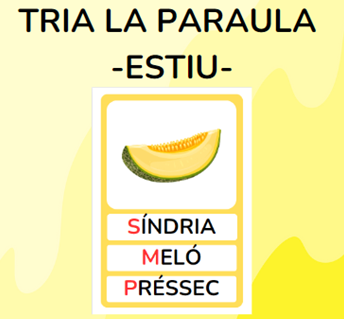 Tria la paraula - ESTIU