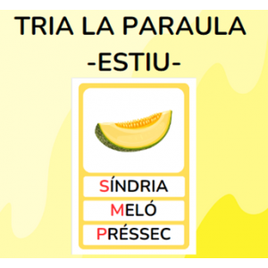 Tria la paraula - ESTIU