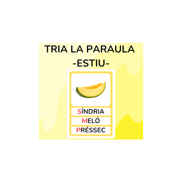 Tria la paraula - ESTIU