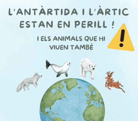 CARTELL COMPLEMENTARI PROJECTE RECILATGE