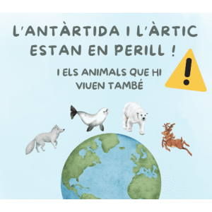 CARTELL COMPLEMENTARI PROJECTE RECILATGE