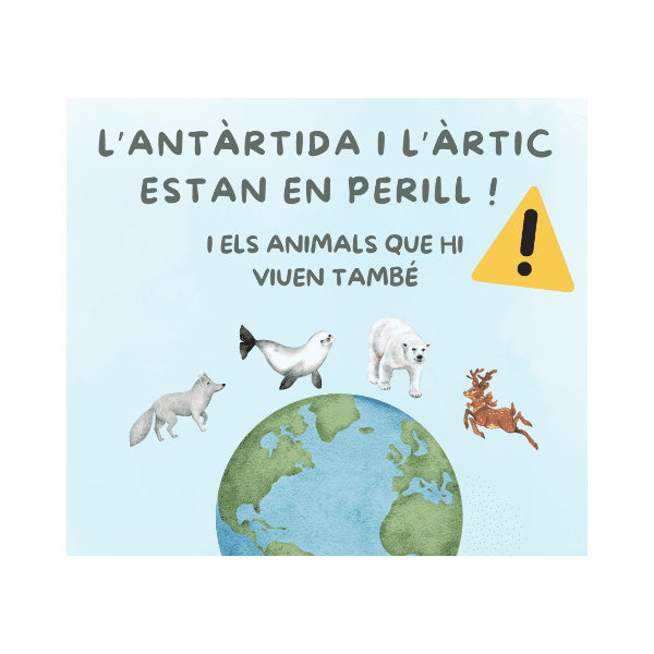 CARTELL COMPLEMENTARI PROJECTE RECILATGE