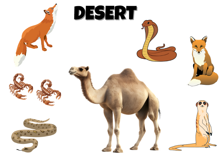 Animal habitats. Ecosystems.