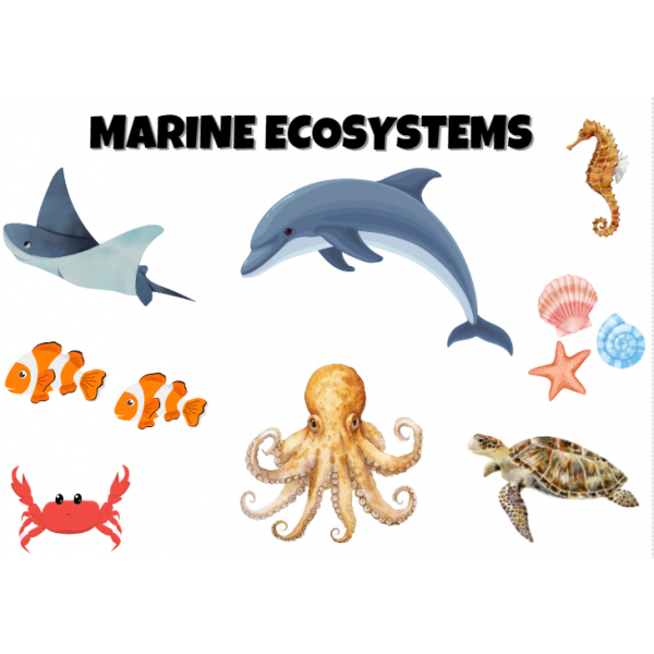 Animal habitats. Ecosystems.