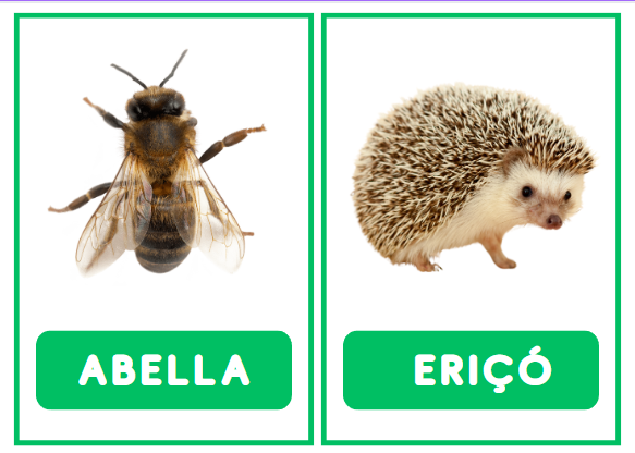 TARGETES VOCABULARI PRIMAVERA