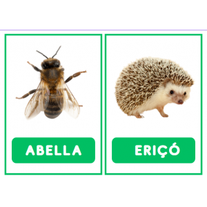 TARGETES VOCABULARI PRIMAVERA