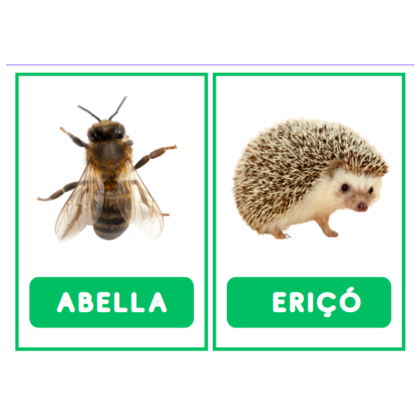TARGETES VOCABULARI PRIMAVERA