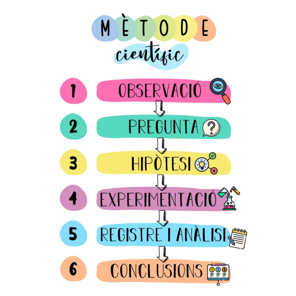 FASES DEL MÈTODE CIENTÍFIC