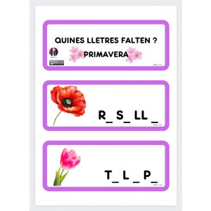 PRIMAVERA.QUINES LLETRES FALTEN?