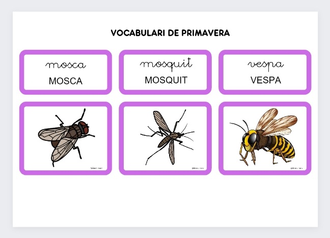 VOCABULARI DE PRIMAVERA