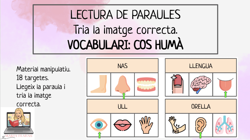 JOC LECTURA DE PARAULES. TRIA LA IMATGE CORRECTA. EL COS HUMÀ. PARTS DEL COS.