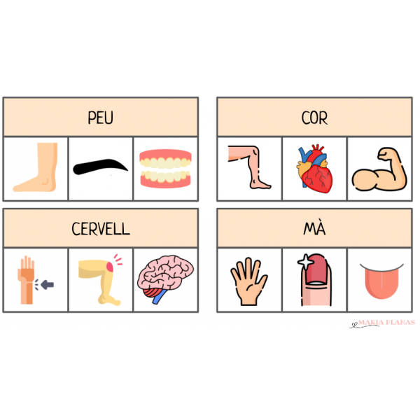 JOC LECTURA DE PARAULES. TRIA LA IMATGE CORRECTA. EL COS HUMÀ. PARTS DEL COS.