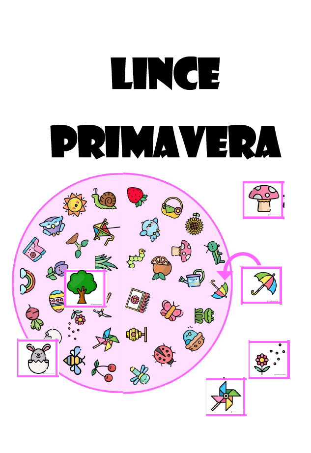 Lince - primavera