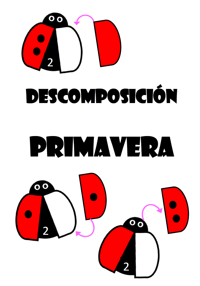 Descomposición - primavera