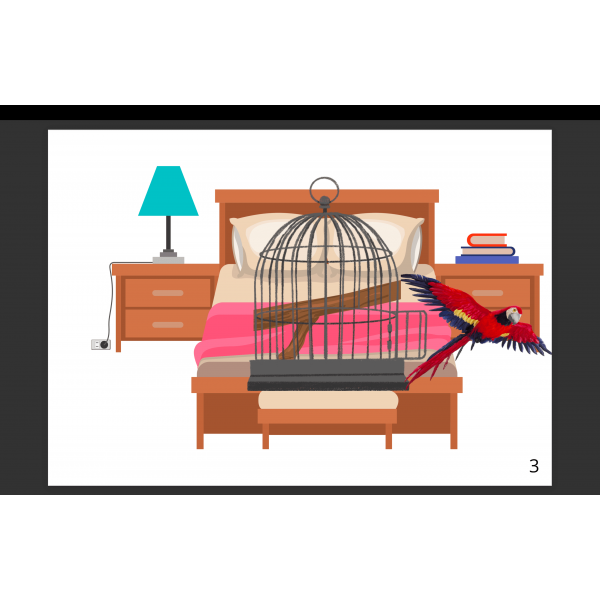 "Colours song" and storytelling "the colourful parrot"