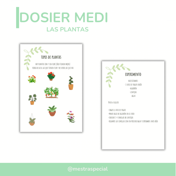 LAS PLANTAS