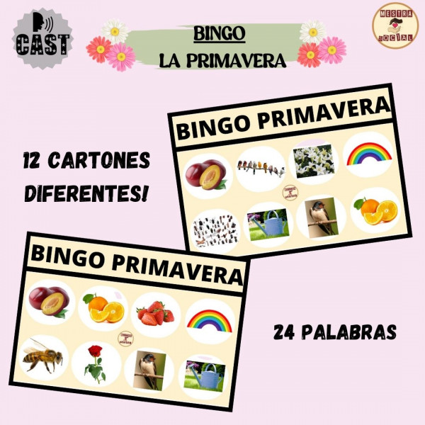 BINGO PRIMAVERA  (CASTELLANO)
