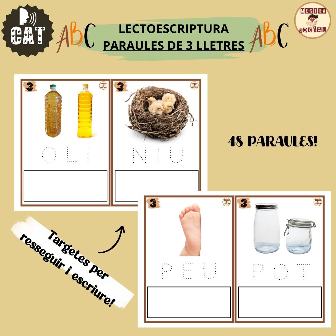REPASSAR VOCABULARI PARAULES 3 LLETRES (lectoescriptura)