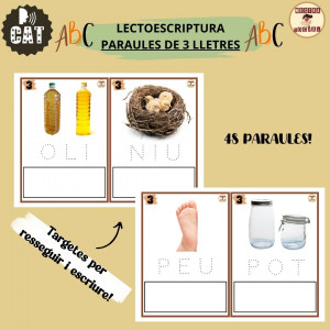 REPASSAR VOCABULARI PARAULES 3 LLETRES (lectoescriptura)
