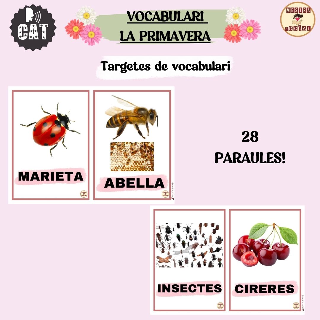 VOCABULARI PRIMAVERA (FLASHCARDS)