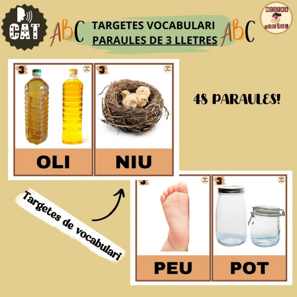 VOCABULARI PARAULES 3 LLETRES (flashcards)