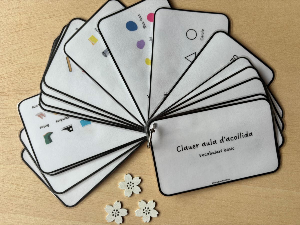 CLAUER VOCABULARI BÀSIC