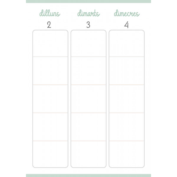 Planner mestra curs 24-25