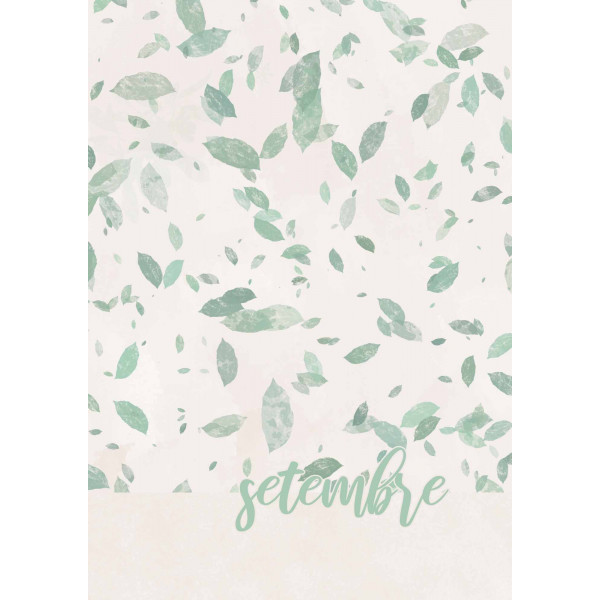 Agenda mestra curs 24-25