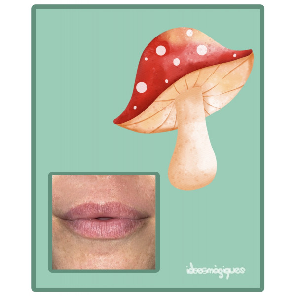 Abecedari fonològic i gràfic