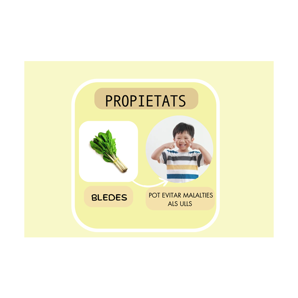 GUIA ALIMENTACIÓ SALUDABLE