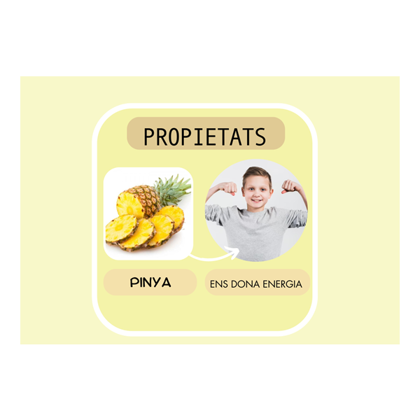 GUIA ALIMENTACIÓ SALUDABLE