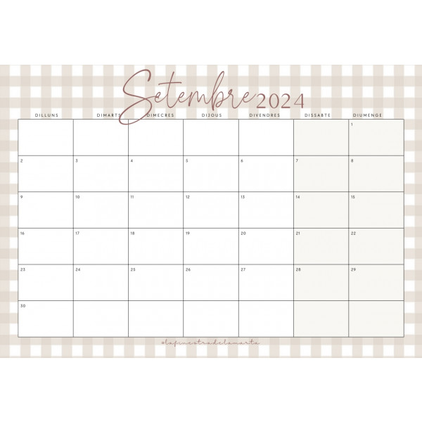 CALENDARI AULA 24-25 VICHY