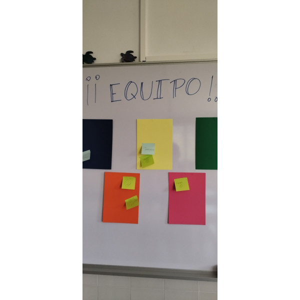 ¡¡𝗘𝗤𝗨𝗜𝗣𝗢!! 𝗜𝗡𝗜𝗖𝗜𝗢 𝗗𝗘 𝗖𝗨𝗥𝗦𝗢📚🎲