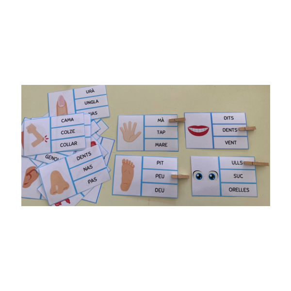 LECTURA DE PARAULES. TRIA LA PARAULA CORRECTA. VOCABULARI EL COS HUMÀ.