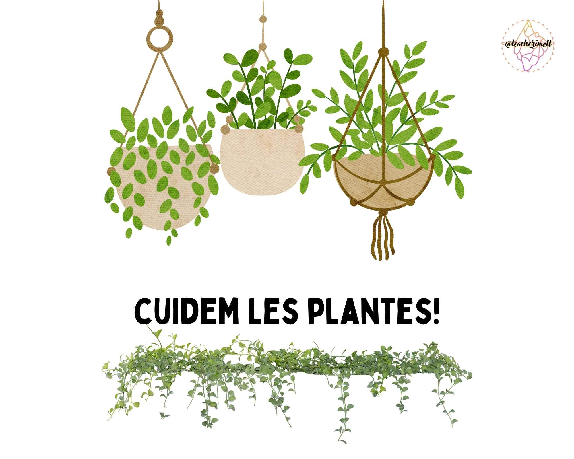PRESENTACIÓ: Cuidem les plantes!