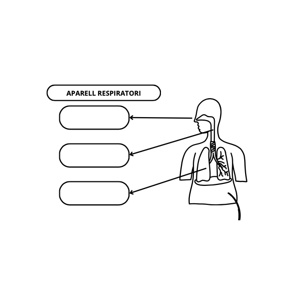 VOCABULARI APARELLS (NUTRICIÓ)