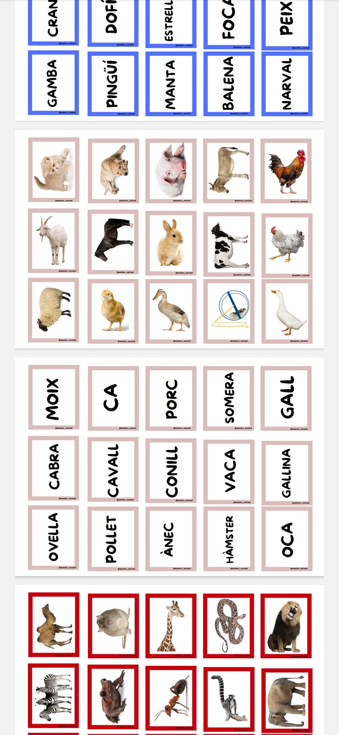 Memorys palabra-imagen por categorias