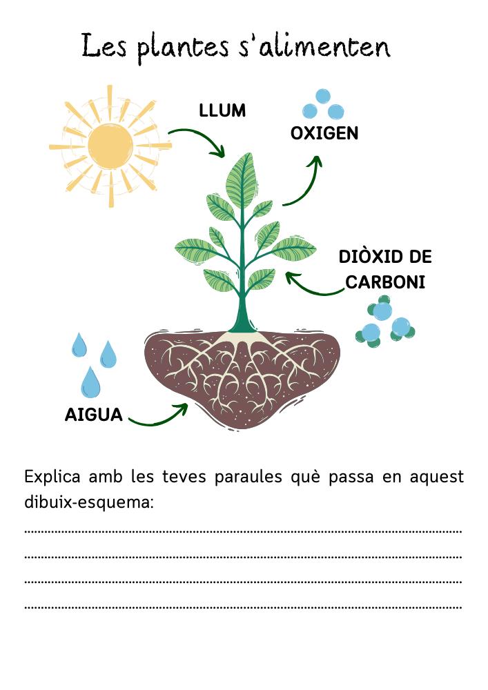 Projecte Les plantes i Educació emocional "La Calma"
