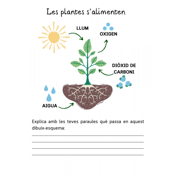 Projecte Les plantes i Educació emocional "La Calma"