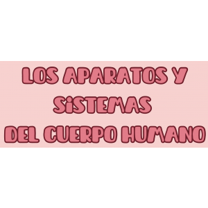 Aparatos y sistemas del cuerpo humano