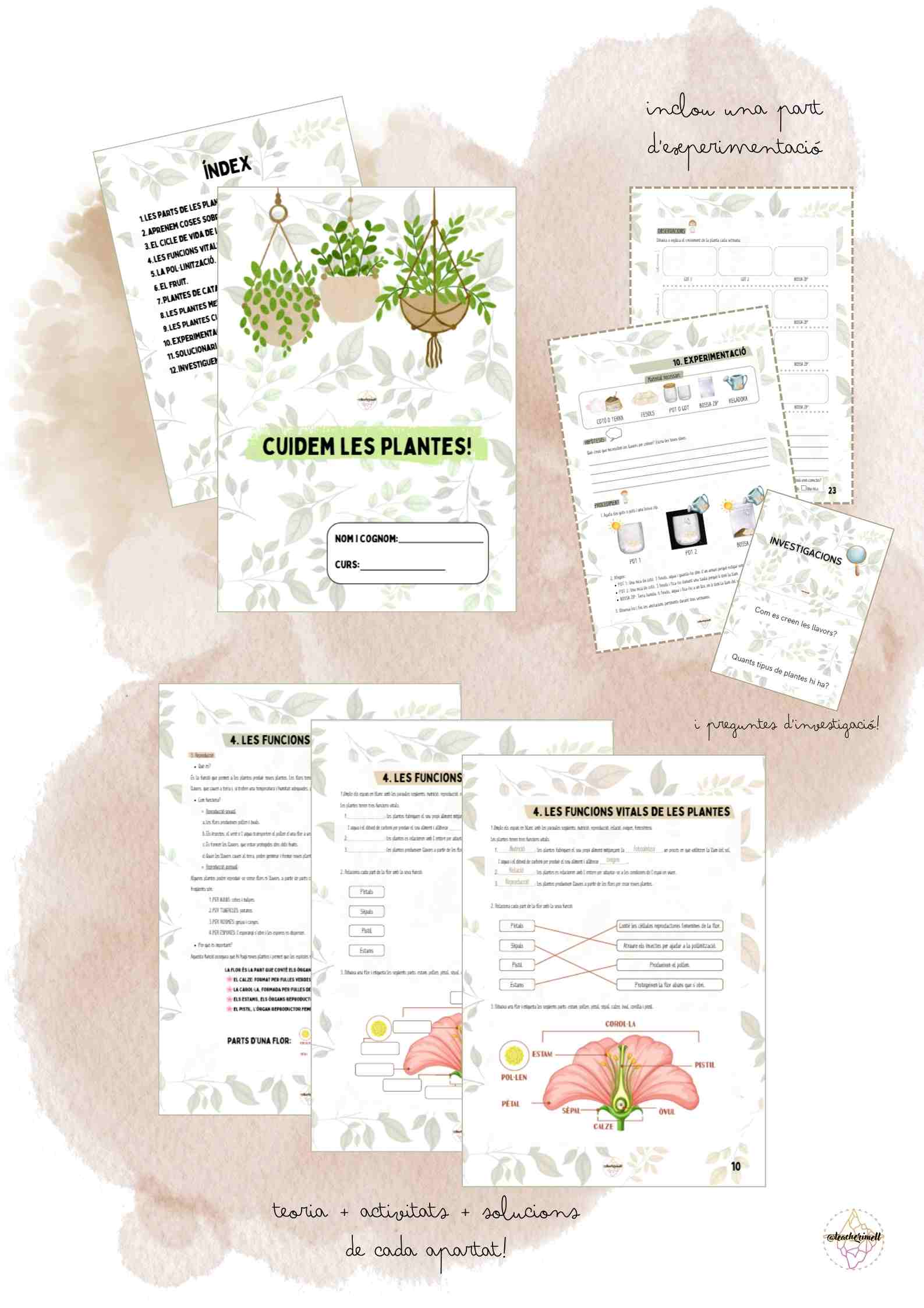 DOSSIER: Cuidem les plantes! (CAT)