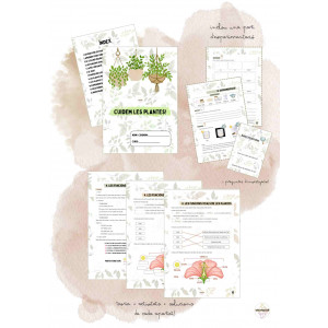 DOSSIER: Cuidem les plantes! (CAT)