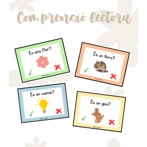 Comprensió lectora inicial