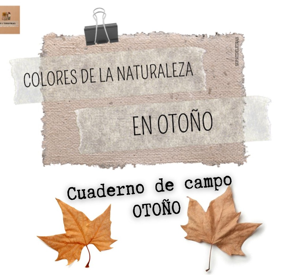 Colores de la naturaleza en otoño